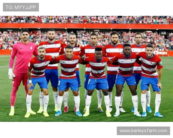 尊龙足球官网带你领略全球足球赛事的精彩瞬间 尊龙足球官网带你领略全球足球赛事的精彩瞬间