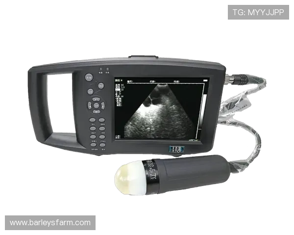 尊龙凯时z6安全登录入口登录流程优化与安全性提升建议 尊龙凯时z6安全登录入口登录流程优化与安全性提升建议