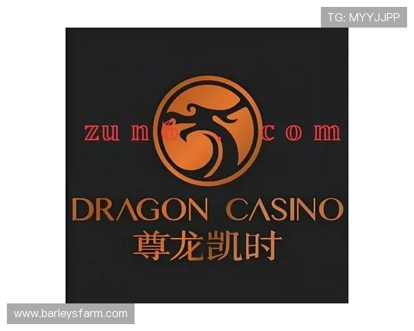 尊龙凯时z6官网首页客服支持与服务体系全面介绍为玩家提供贴心保障 尊龙凯时z6官网首页客服支持与服务体系全面介绍为玩家提供贴心保障