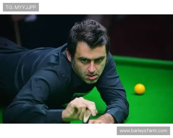 尊龙体育足球如何利用大数据提升比赛预测的准确性