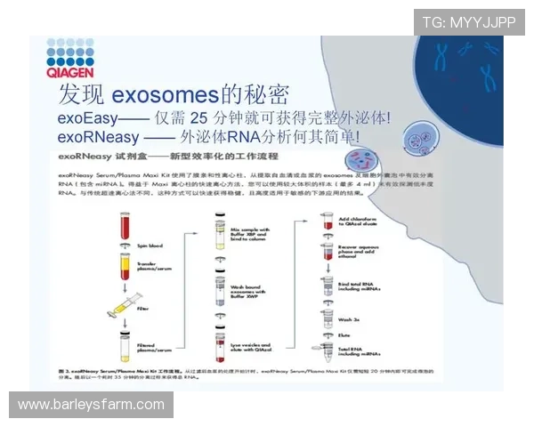 尊龙凯时质谱系统的维护与优化策略,确保科研实验的稳定性与准确性 尊龙凯时质谱系统的维护与优化策略,确保科研实验的稳定性与准确性
