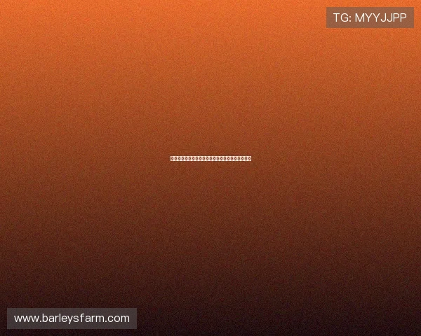 尊龙网赌怎么样优惠活动多吗最新促销优惠政策一览 尊龙网赌怎么样优惠活动多吗最新促销优惠政策一览