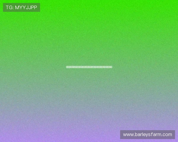 伊朗队在世界杯中对新西兰的进攻表现：战术执行与得分效率深度剖析